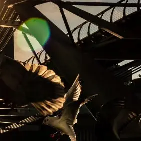 London Slo-Mo: Tate Modern